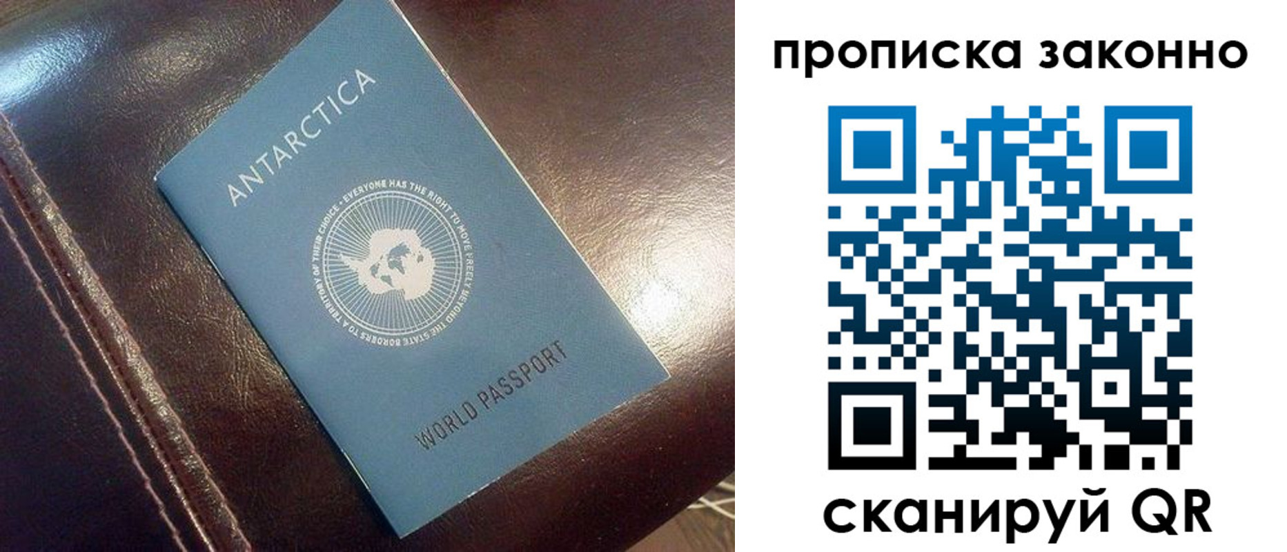 прописка в квартире в Бокситогорске